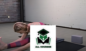 Yoga for Beginners 2 By Amy Baker