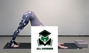 Yoga for Beginners 1 By Amy Baker