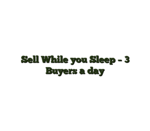 Sell While you Sleep – 3 Buyers a day