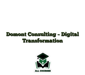 Domont Consulting – Digital Transformation
