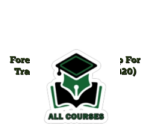 Forex Trading Bootcamp For Traders & Investors (2020)
