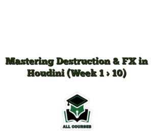 Mastering Destruction & FX in Houdini (Week 1 > 10)